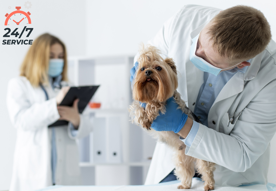 Emergency Servces 24x7