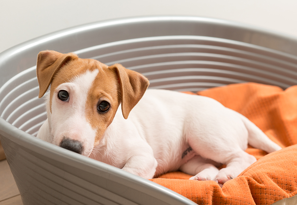 For Post Sick Patient