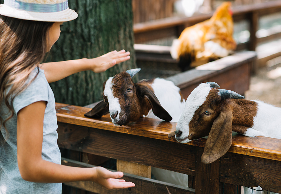 In house Admission Facility